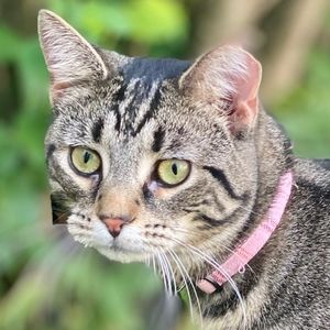 Meet your Posher, Posh